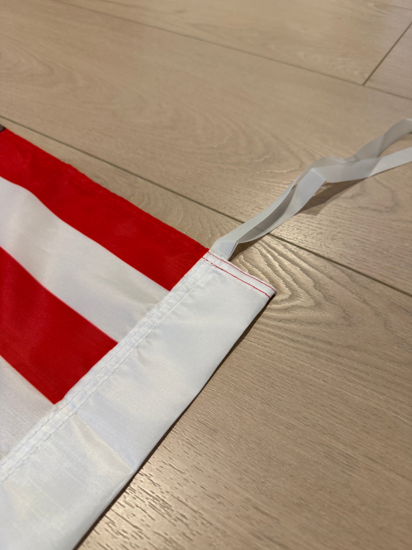 Anime Flag - Night Vision Girl - USA Flag